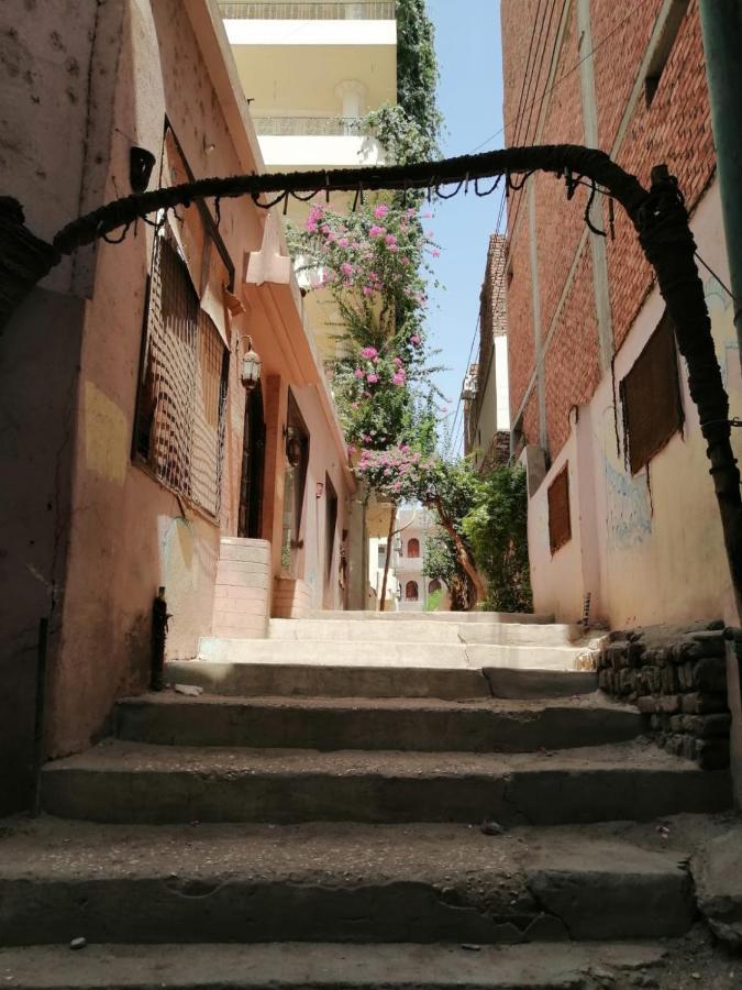 Winter Guest House Luxor Exterior photo